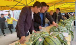 河南艺术学院吃瓜爆料,吃瓜爆料揭露惊人真相